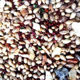 Barley with Red Quinoa, Cranberry and Mint 1kg